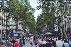 66fdc0bfe1fd4a946be1f64f Pexelsphoto106052 66fdc0bfe1fd4a946be1f64f Pexelsphoto106052