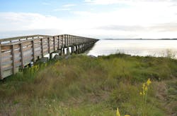 66fdc0c236c97e12ff8b66f0 Swanquarter2612847 1920 66fdc0c236c97e12ff8b66f0 Swanquarter2612847 1920