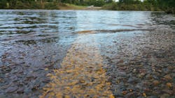 66fdc0d101d3bf549baf7f6f Road2903261 1920 66fdc0d101d3bf549baf7f6f Road2903261 1920