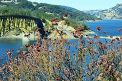 66fdc0d1e63fdcbc7b458d2f Sonoma2813823 1920 66fdc0d1e63fdcbc7b458d2f Sonoma2813823 1920