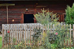 66fdc0d9dbd68e94744aae0a Cottagegarden2914830 1920 0 66fdc0d9dbd68e94744aae0a Cottagegarden2914830 1920 0