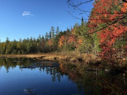 66fdc0d9e1fd4ab8c5e1f676 Reflections1188799 1920 66fdc0d9e1fd4ab8c5e1f676 Reflections1188799 1920