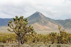 66fdc0e1dbd68e35924aae18 Arizona2110098 1920 66fdc0e1dbd68e35924aae18 Arizona2110098 1920