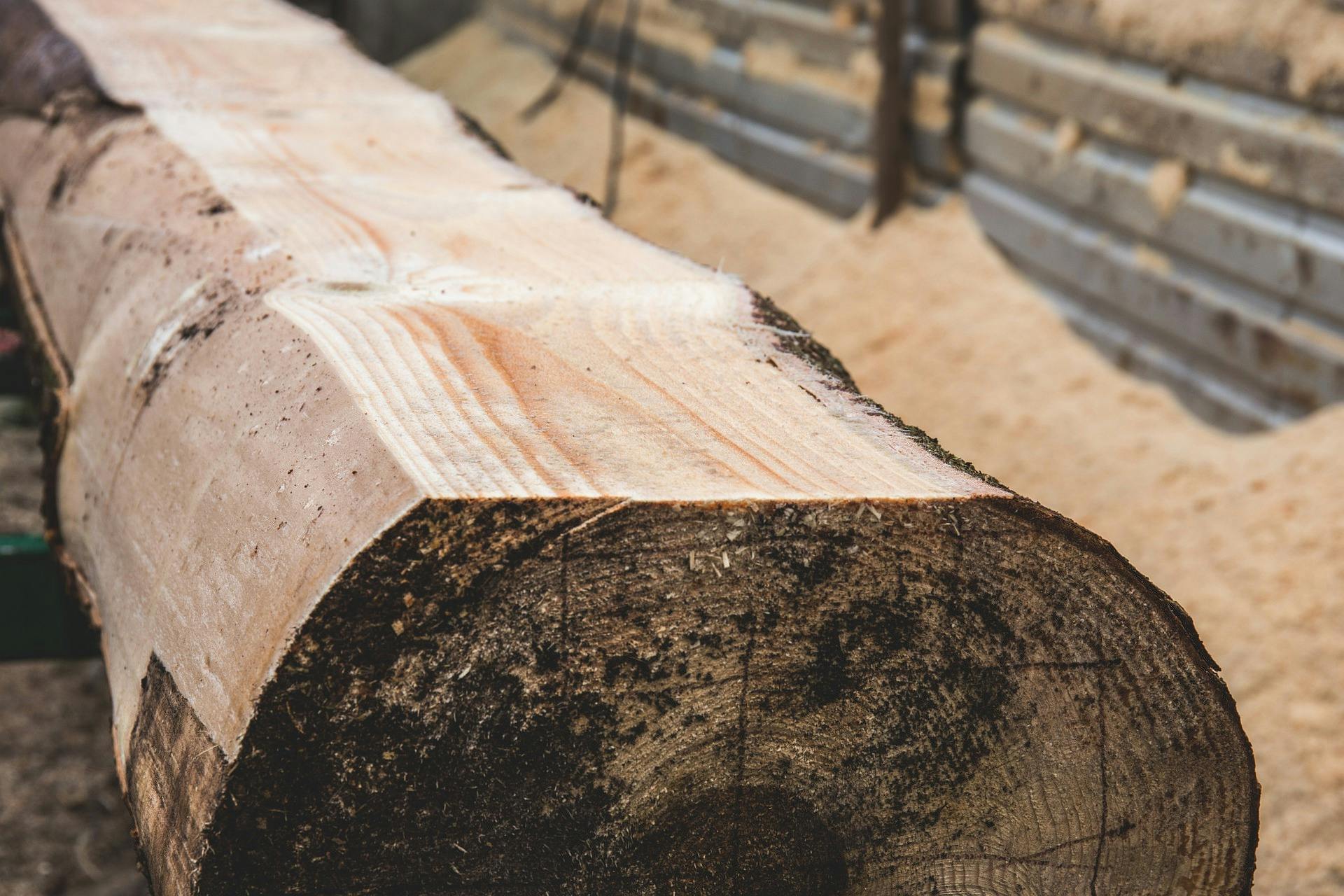 66fdc0e601d3bfe1baaf7f8f Nature2941079 1920