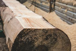 66fdc0e601d3bfe1baaf7f8f Nature2941079 1920 66fdc0e601d3bfe1baaf7f8f Nature2941079 1920