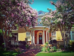 66fdc103e63fdc422f458d6e Pexelsphoto176860 66fdc103e63fdc422f458d6e Pexelsphoto176860