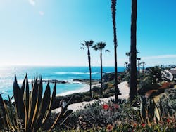 66fdc106a897b560e5b204ad Pexelsphoto360698 66fdc106a897b560e5b204ad Pexelsphoto360698