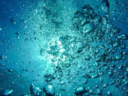 66fdc109d4ea387098a5a096 Airbubblesdivingunderwaterblow62307 66fdc109d4ea387098a5a096 Airbubblesdivingunderwaterblow62307