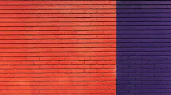 Photo: Pexels
