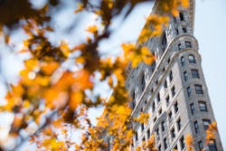 66fdc125a5dba0b3ce462bec Pexelsphoto574043 66fdc125a5dba0b3ce462bec Pexelsphoto574043