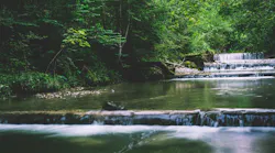 Photo: Pexels