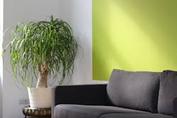 66fdc130e63fdc4010458daf Pexelsphoto260046 66fdc130e63fdc4010458daf Pexelsphoto260046