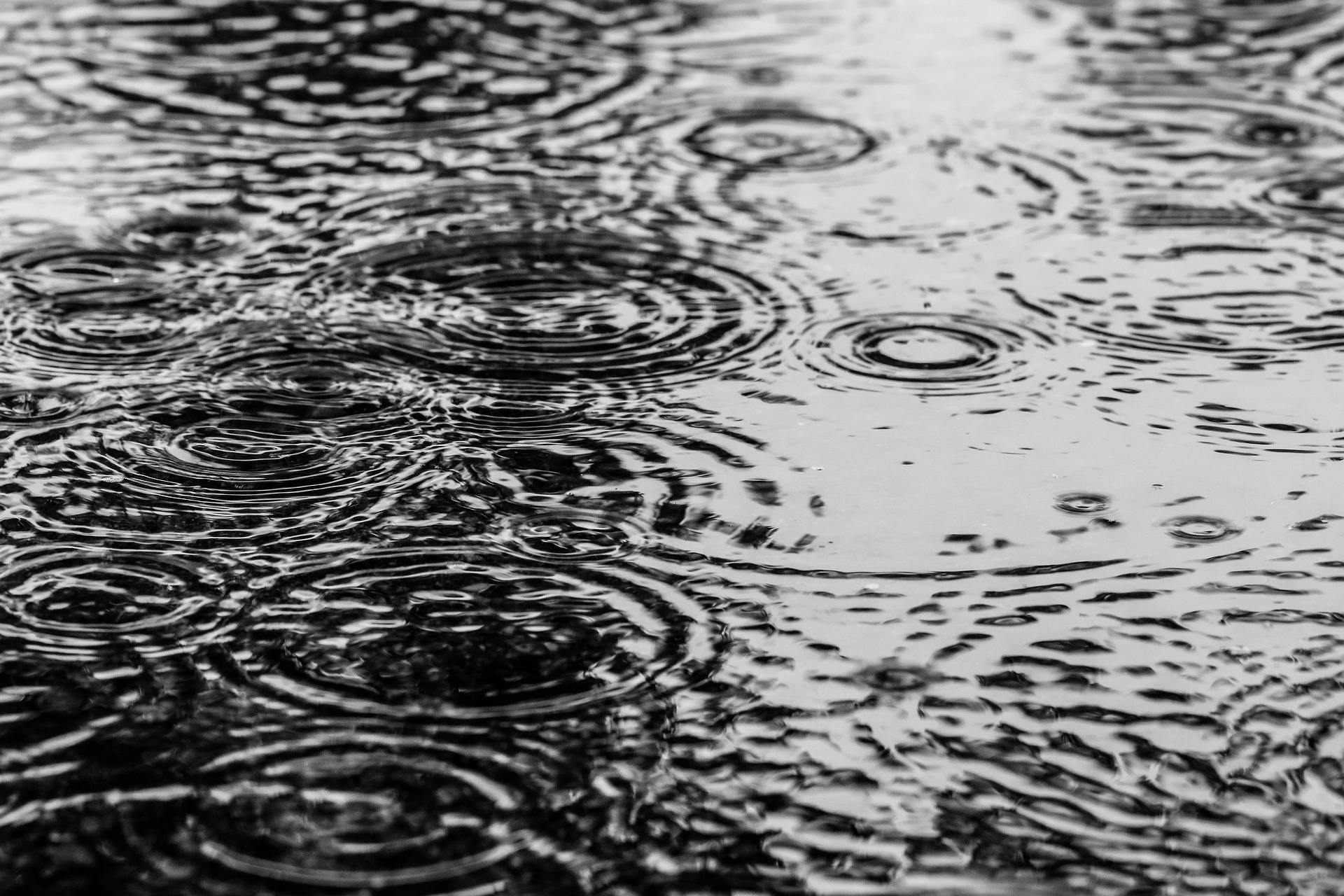 66fdc136dbd68ea3be4aaea6 Puddle2721212 1920