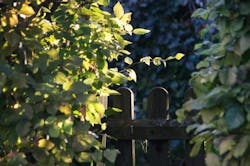 66fdc139e1fd4a8d64e1f722 Gardengate2758466 1920 66fdc139e1fd4a8d64e1f722 Gardengate2758466 1920