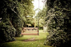 66fdc13ddbd68e82894aaeb0 Pexelsphoto334978 66fdc13ddbd68e82894aaeb0 Pexelsphoto334978