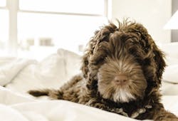 66fdc15236c97e6da78b67f2 Pexelsphoto668004 66fdc15236c97e6da78b67f2 Pexelsphoto668004