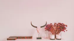 Photo: Unsplash