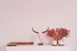 66fdc1903cabd95cbea6a26d Glaucozuccaccia264194unsplash 66fdc1903cabd95cbea6a26d Glaucozuccaccia264194unsplash