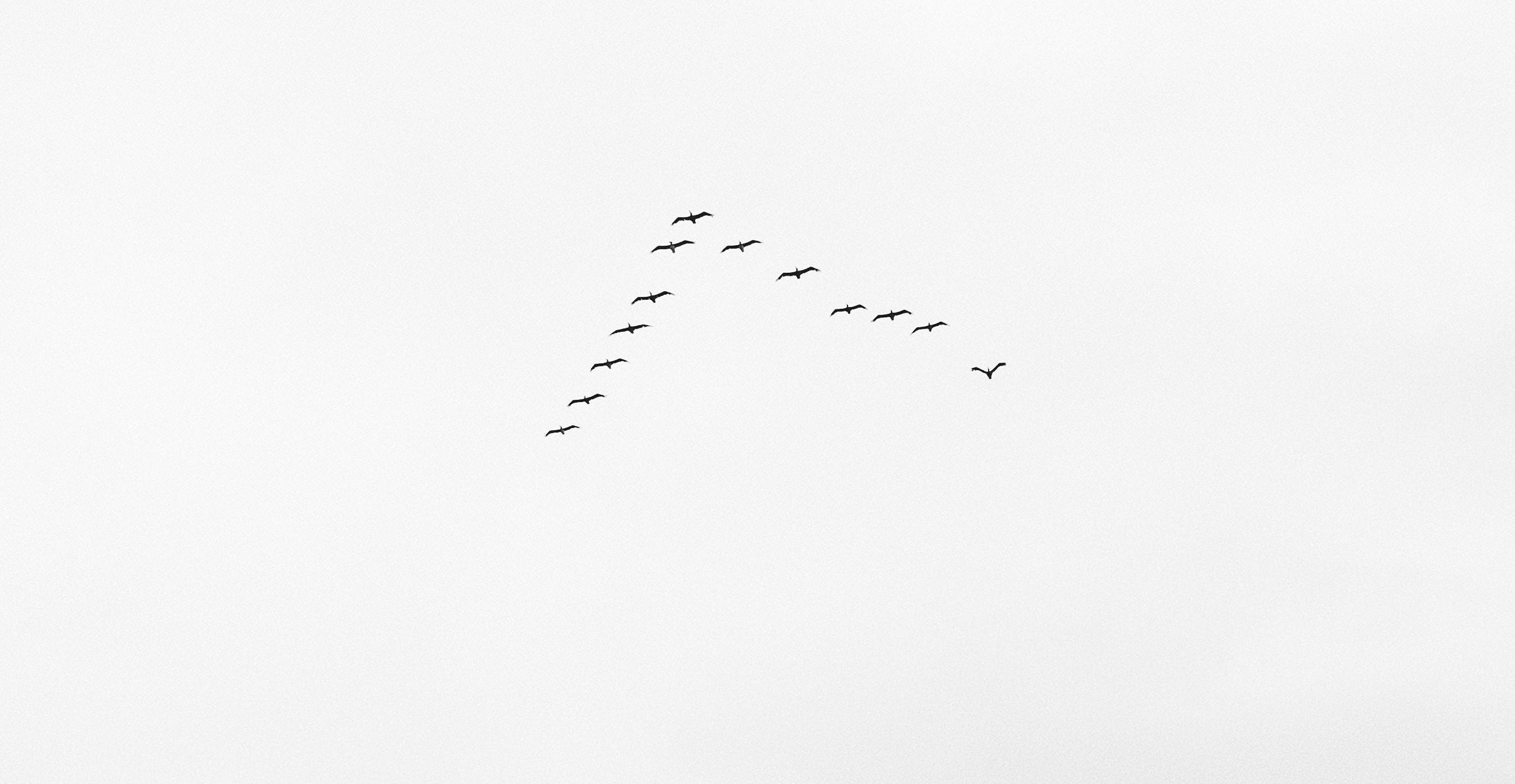 66fdc1913cabd94ceba6a26e Matejrieciciar482894unsplash