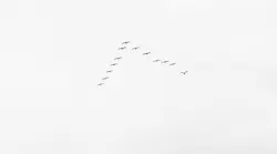Photo: Unsplash