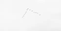 66fdc1913cabd94ceba6a26e Matejrieciciar482894unsplash 66fdc1913cabd94ceba6a26e Matejrieciciar482894unsplash