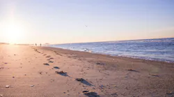 Photo: Unsplash