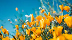 Photo: Unsplash