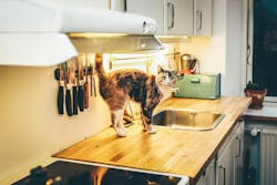 66fdc19e36c97ea7318b684c Nickkarvounis538861unsplash 66fdc19e36c97ea7318b684c Nickkarvounis538861unsplash