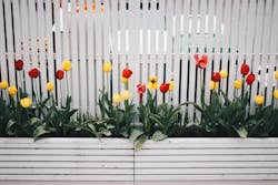 66fdc1a601d3bf1727af809a Pexelsphoto701758 66fdc1a601d3bf1727af809a Pexelsphoto701758