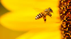 Photo: Unsplash