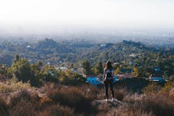 66fdc1b436c97e21f28b6877 Rosalindchang451811unsplash 66fdc1b436c97e21f28b6877 Rosalindchang451811unsplash