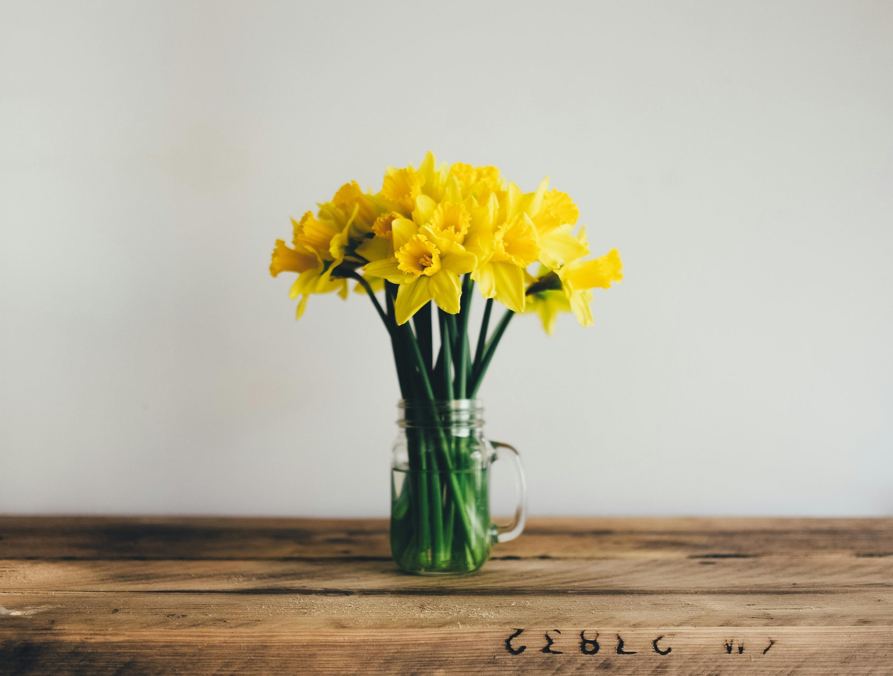 66fdc1b601d3bff2aaaf80b0 Anniespratt197098unsplash