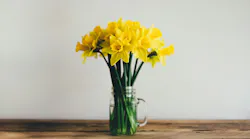 Photo: Unsplash