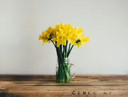 66fdc1b601d3bff2aaaf80b0 Anniespratt197098unsplash