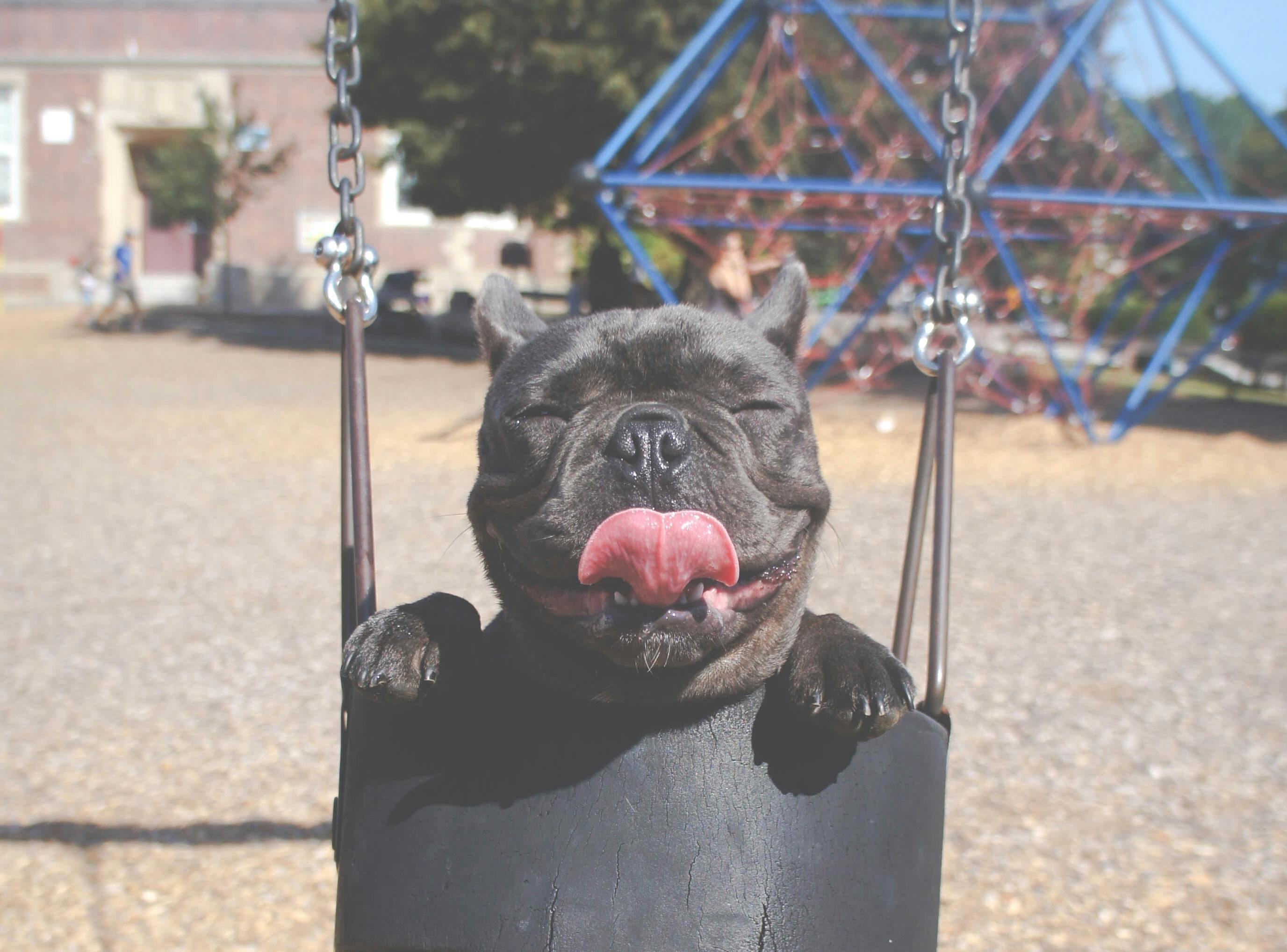 66fdc1bca897b59809b20583 Marionmichele66097unsplash