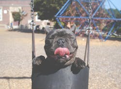 66fdc1bca897b59809b20583 Marionmichele66097unsplash 66fdc1bca897b59809b20583 Marionmichele66097unsplash