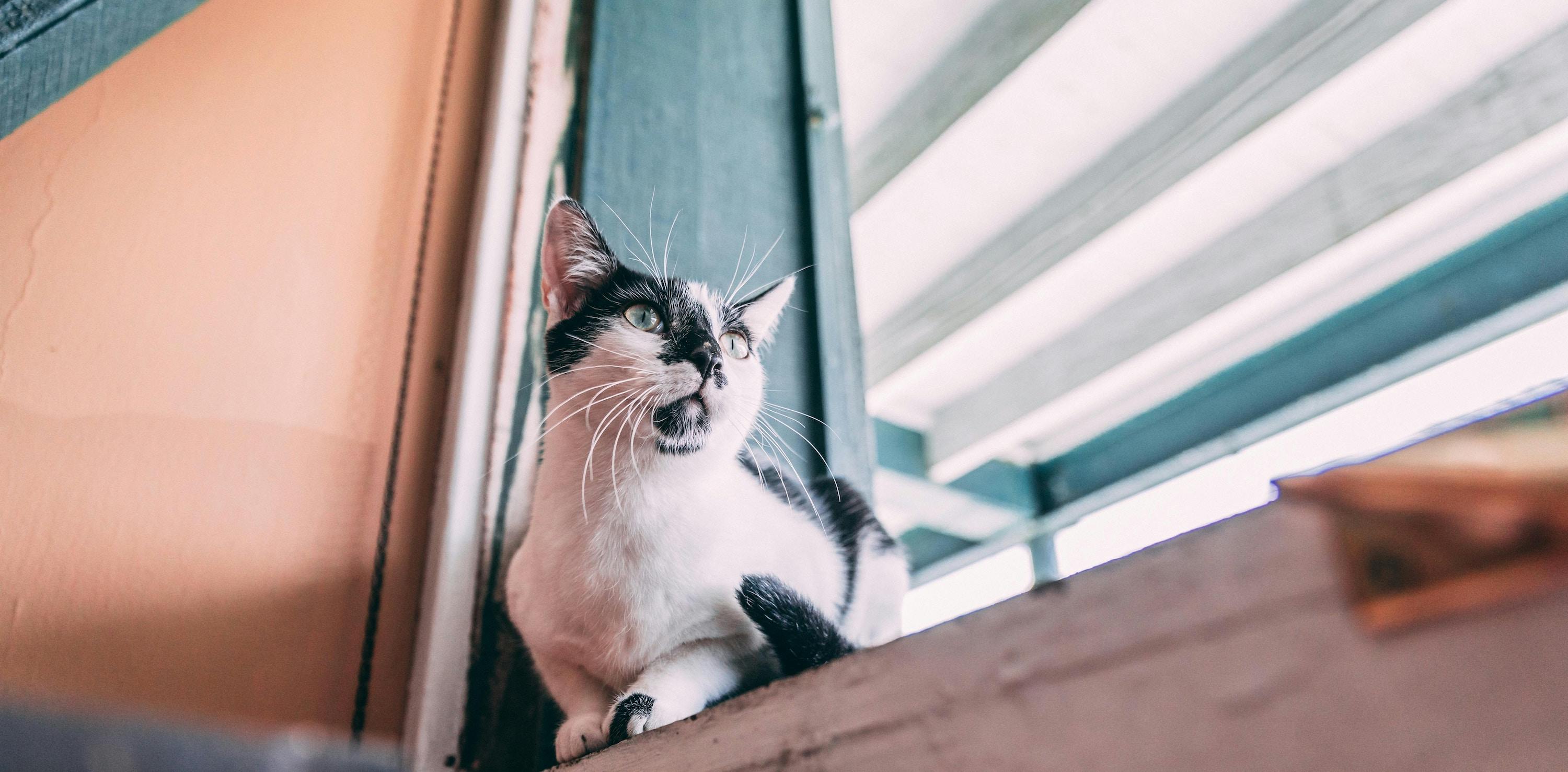 66fdc1c7e1fd4a41c8e1f7c5 Tuckergood589760unsplash