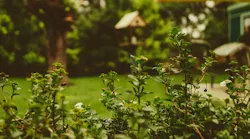 Photo: Unsplash/Martin Knize