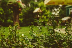 66fdc1cba897b5cca4b20597 Martinknize38234unsplash 66fdc1cba897b5cca4b20597 Martinknize38234unsplash