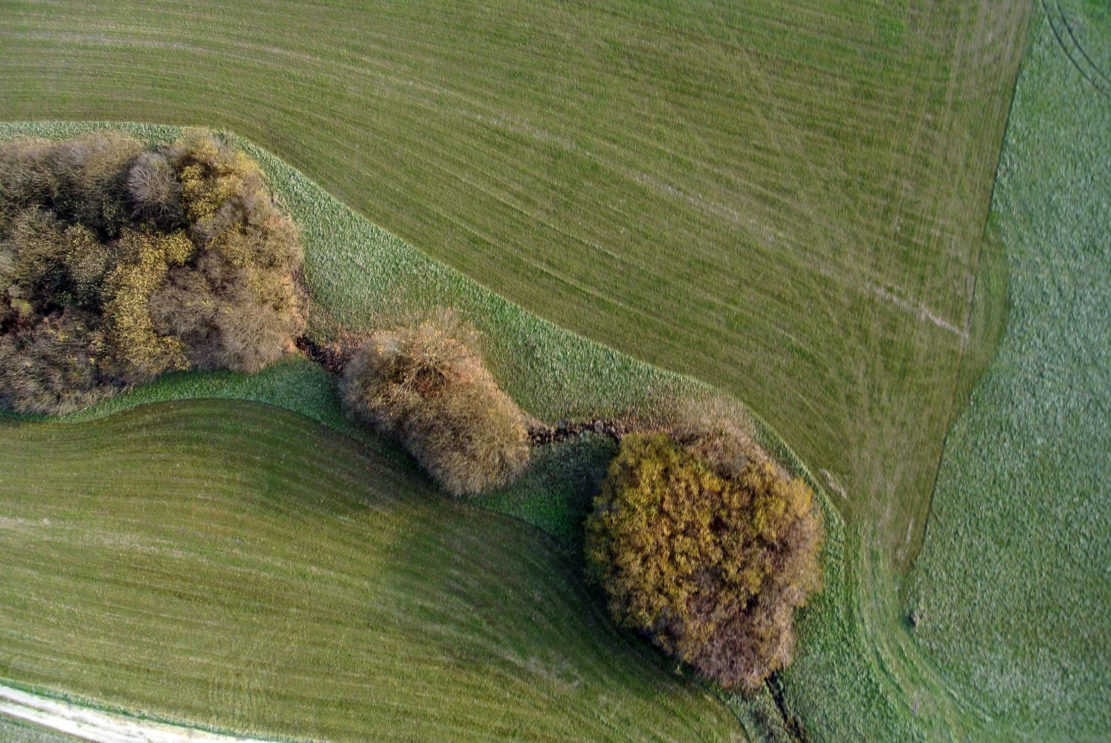 66fdc1cbdbd68e686d4aaf60 Kapjasa434865unsplash