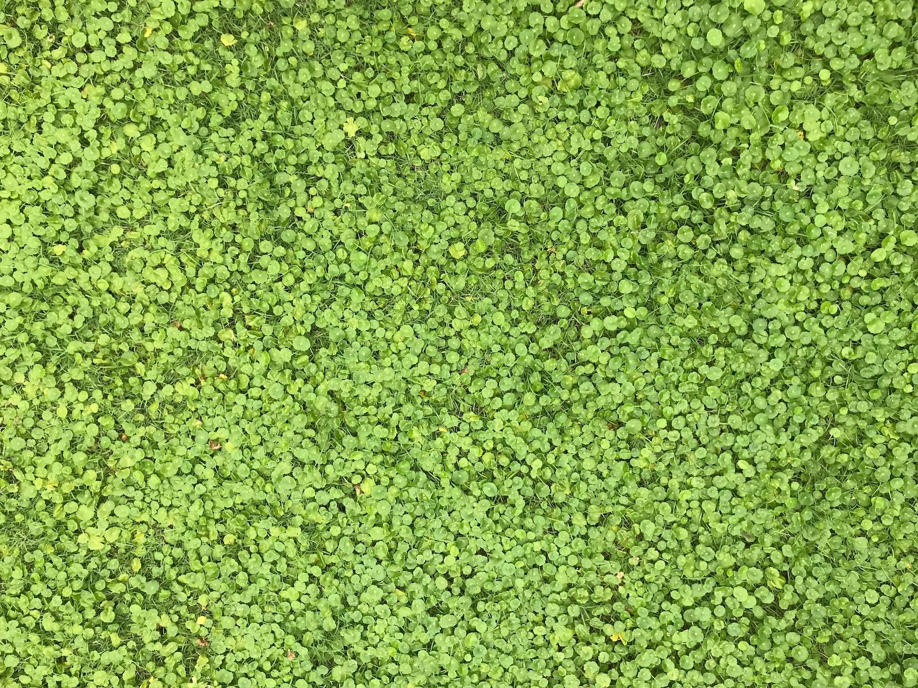 66fdc1ce36c97e1c158b68a1 Andasamsuwan472927unsplash