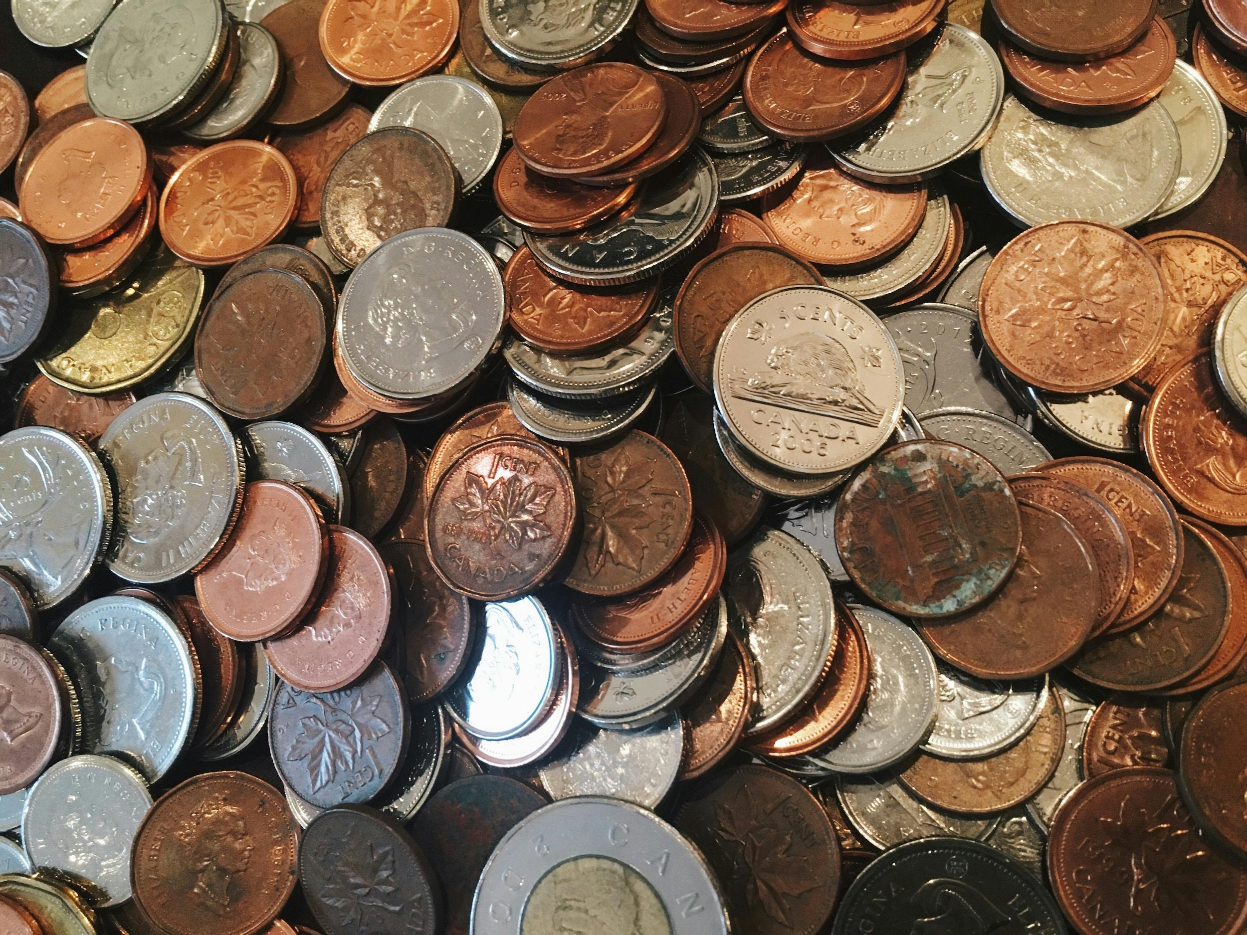 66fdc1cfdbd68e09514aaf61 Pinamessina465028unsplash