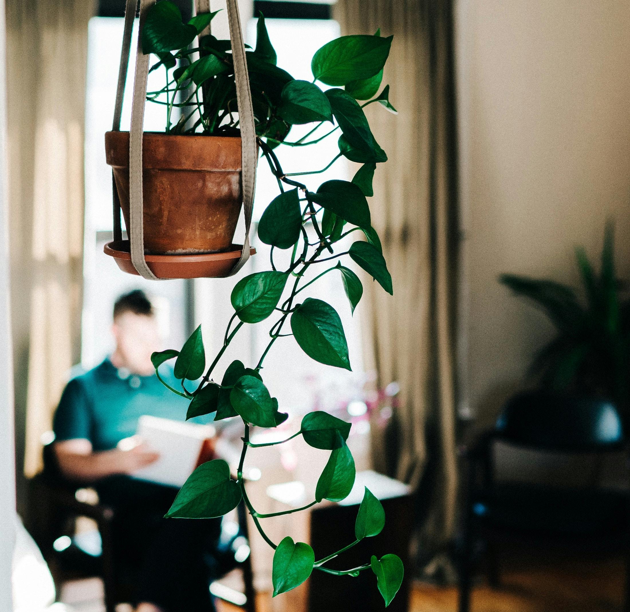 66fdc1d0a897b5f8abb2059d Mikemarquez413829unsplash