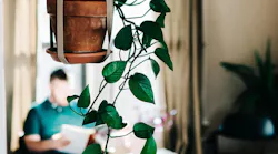 Photo: Unsplash/Mike Marquez