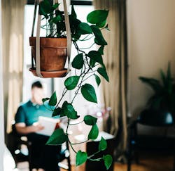 66fdc1d0a897b5f8abb2059d Mikemarquez413829unsplash 66fdc1d0a897b5f8abb2059d Mikemarquez413829unsplash