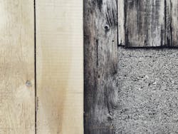 66fdc1d7e1fd4a7f6fe1f7d8 Briannasantellan604331unsplash 66fdc1d7e1fd4a7f6fe1f7d8 Briannasantellan604331unsplash