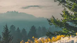 Photo: Unsplash/Kevin Fitzgerald