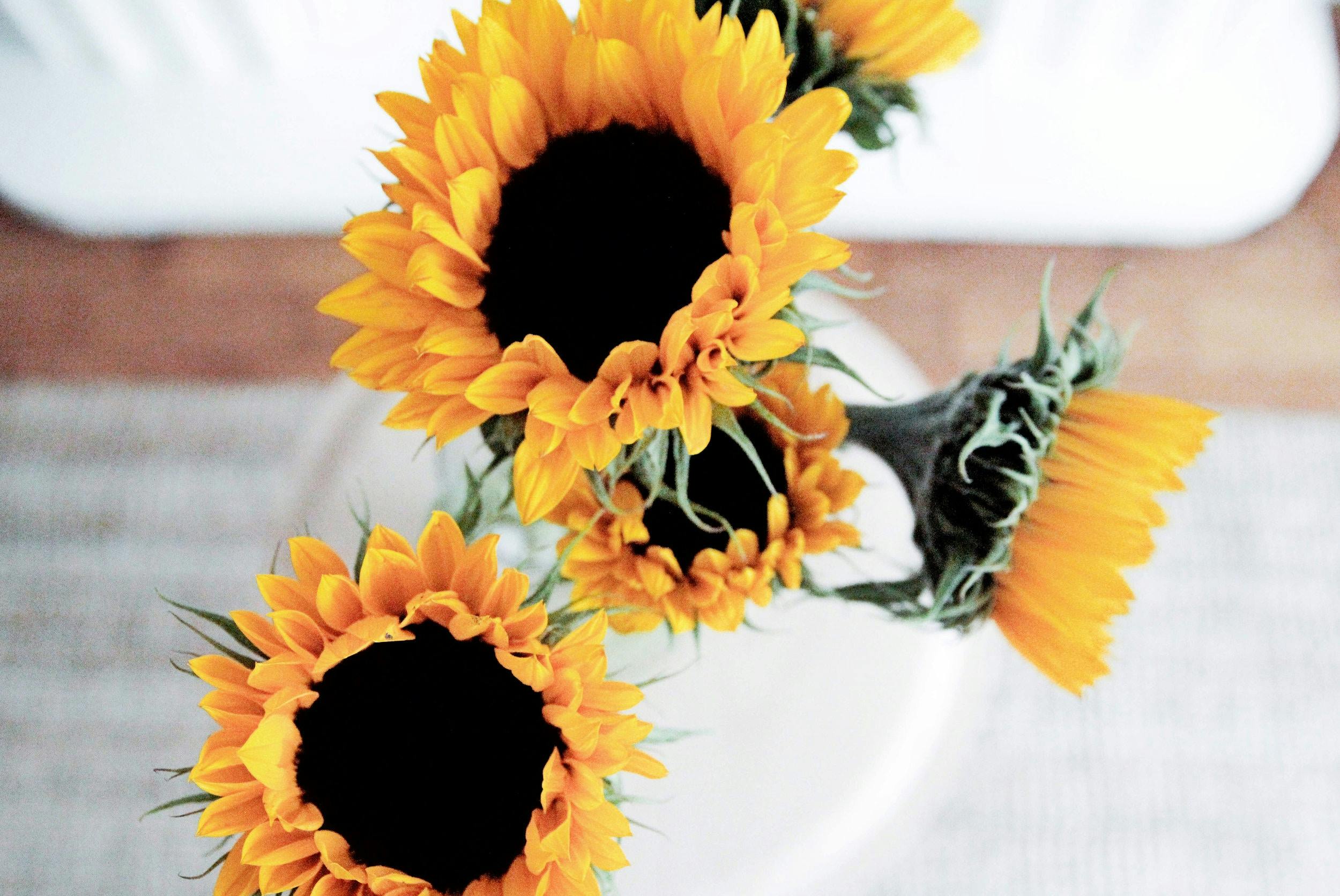 66fdc1e236c97ebca88b68b0 Eddiegarcia503632unsplash