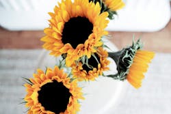 66fdc1e236c97ebca88b68b0 Eddiegarcia503632unsplash 66fdc1e236c97ebca88b68b0 Eddiegarcia503632unsplash