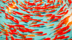 Photo: Unsplash/Yang Miao